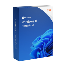 Microsoft Windows 11 Pro Professional