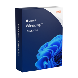 Windows 11 Enterprise 64 bit - Microsoft License